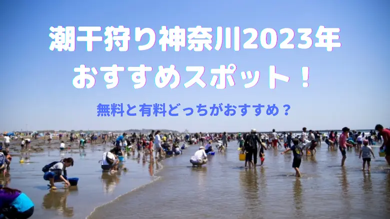 潮干狩り神奈川2023おすすめスポット！アイキャッチ画像